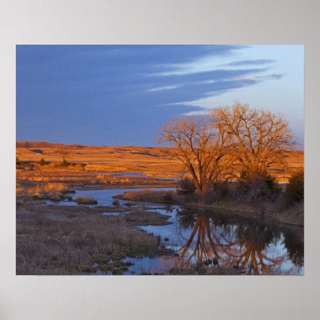Póster Bathed in sunset light the Calamus River (Frente)