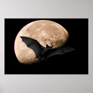 Póster Batty Moon