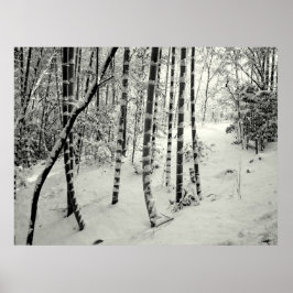 Póster Baúles de bambú en la nieve