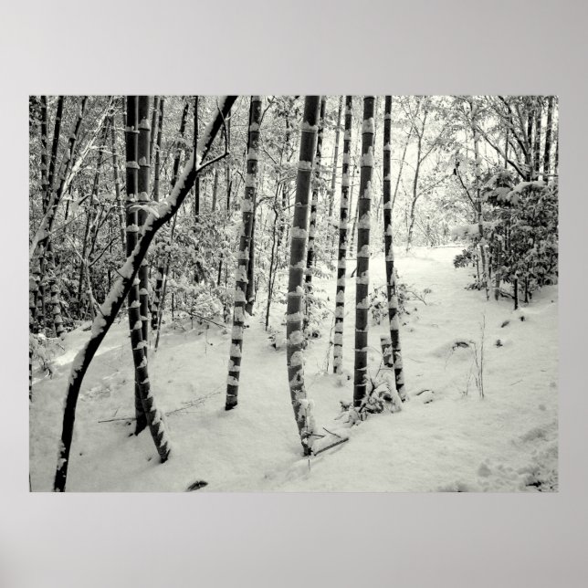 Póster Baúles de bambú en la nieve (Frente)