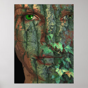 Póster Baumgeist / Fantasma De Árbol