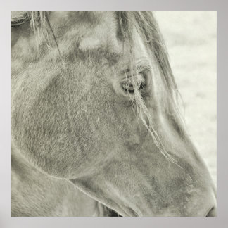 Póster BAY BEAUTY 24x24 Poster