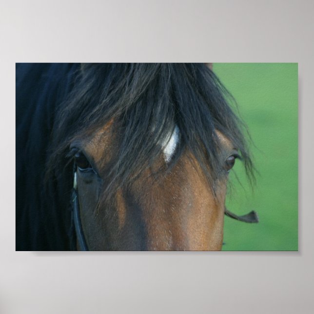 Póster Bay Closeup (Frente)