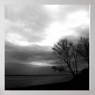 Póster Bay Of Fundy