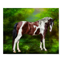 Bay Tobiano Paint Horse
