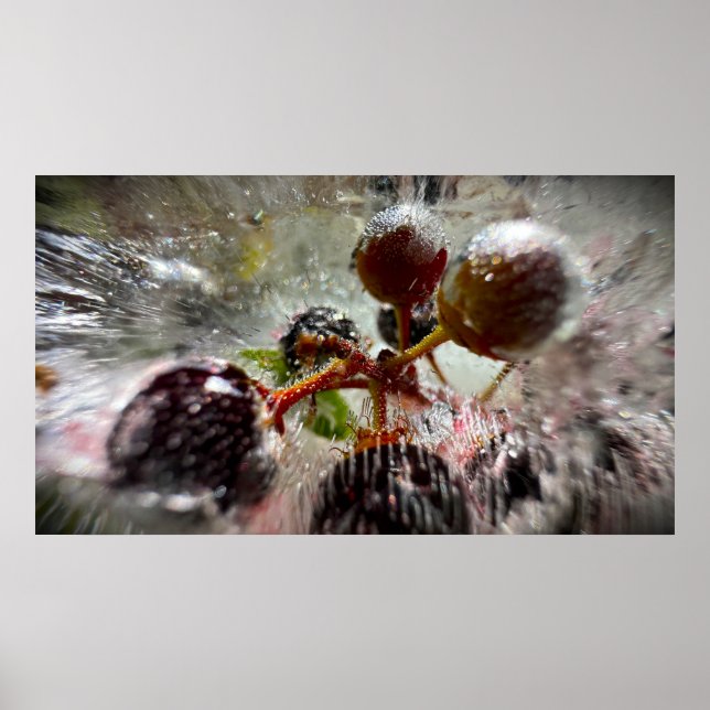 Póster Bayas Congeladas,  (Frente)