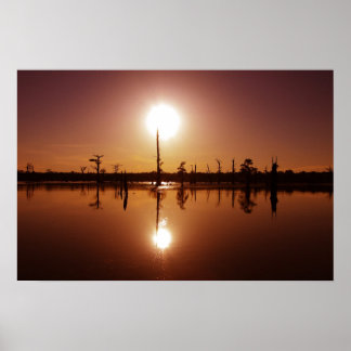 Póster Bayou Sunset