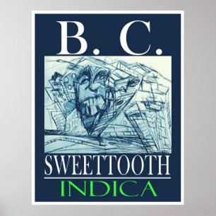 PÓSTER BC DULCE INDICA