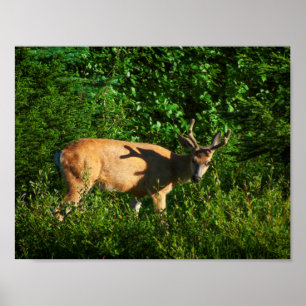 Póster Be on Your Way