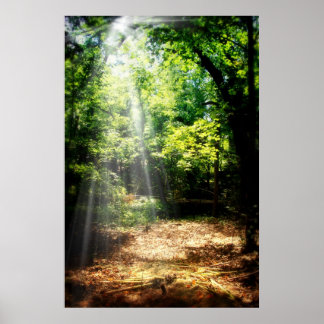 Póster Be Still (Poster del paisaje forestal)