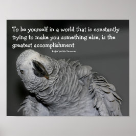 Póster Be You Cita Cute Parrot Inspirador
