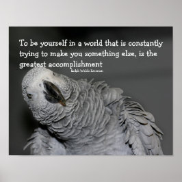 Póster Be You Cita Cute Parrot Inspirador