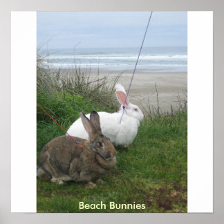 Póster Beach Bunnies Poster - Customized