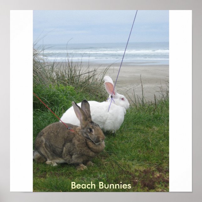 Póster Beach Bunnies Poster - Customized (Frente)