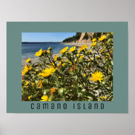 Póster Beach Camano Island Washington Photograph