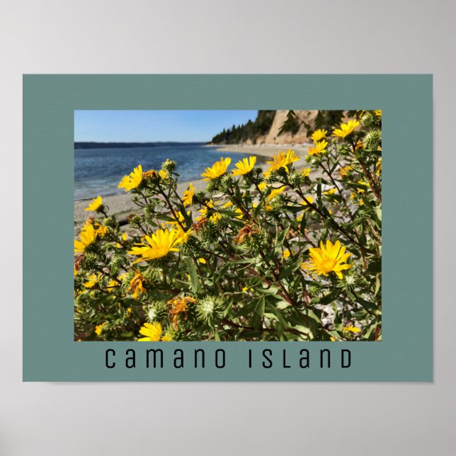 Póster Beach Camano Island Washington Photograph (Frente)