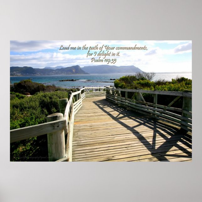 Póster Beach Dock Poster, Ciudad del Cabo, Sudáfrica (Frente)