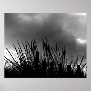 Póster Beach Grass