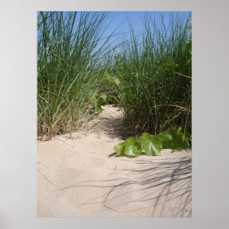 Póster Beach Grass, Warren Dunes, MI