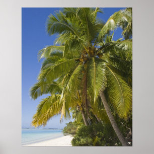 Póster Beach on One Foot island, Aitutaki, Cook Islands