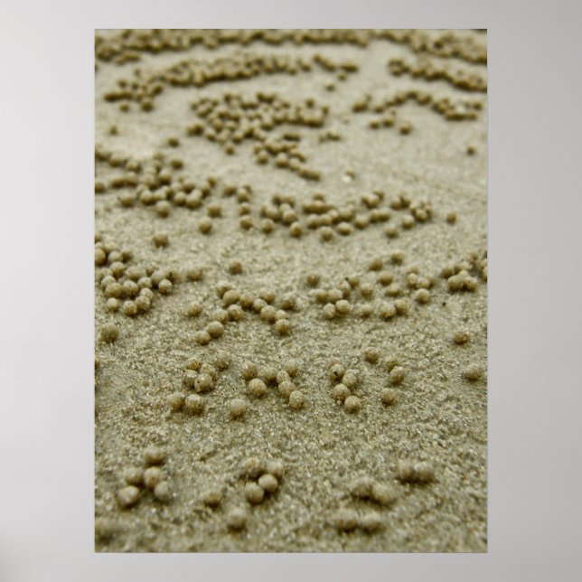 Póster Beach Visions Print (Frente)