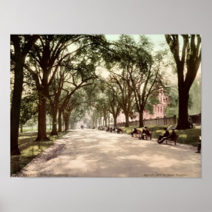 Póster Beacon Street Mall Boston c1899 Inspirado en época