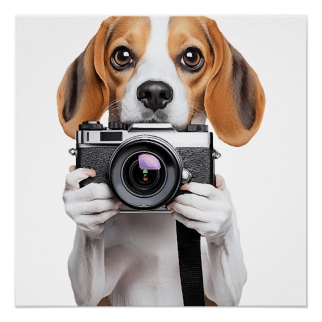 Póster Beagle (Anverso)