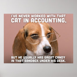 Póster Beagle