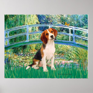 Póster Beagle1 - Puente Lily Pond