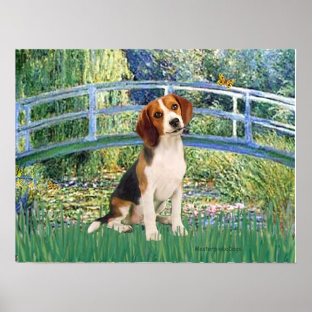Póster Beagle1 - Puente Lily Pond (Frente)