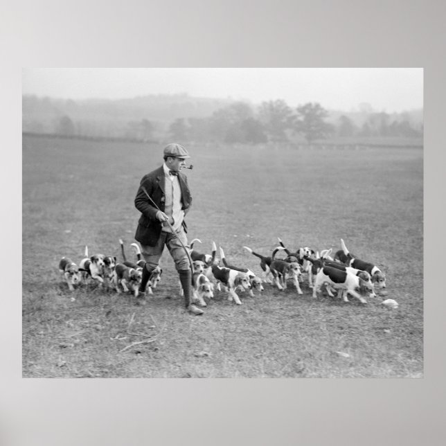 Póster Beagle Club, 1914 (Frente)