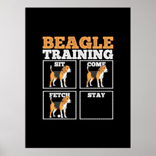 Póster Beagle Dog Training Dog