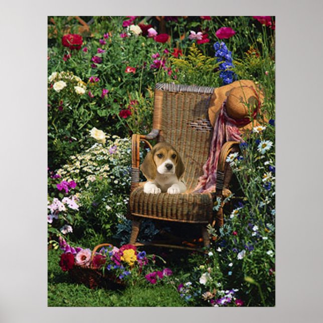 Póster Beagle Garden Poster (Frente)
