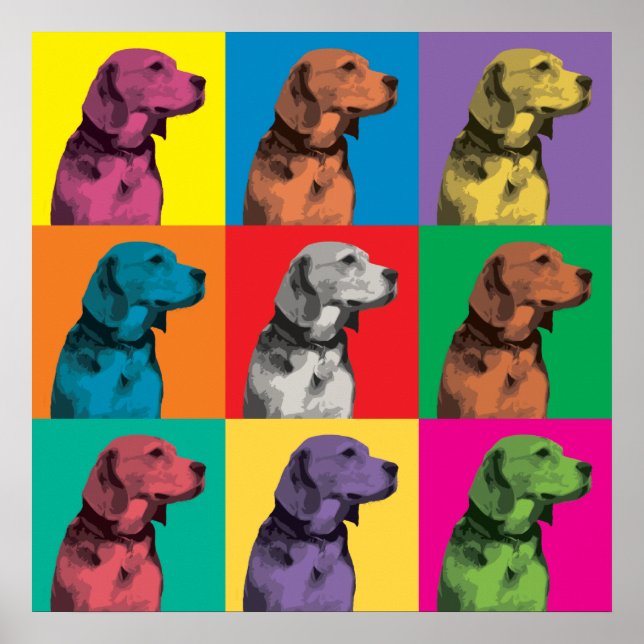 Póster Beagle Pop-Art Poster (Frente)