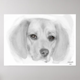 Póster Beagle Sketch Poster