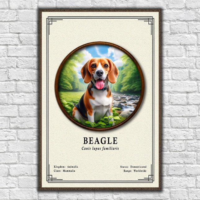 Póster Beagle Zoology Series (Subido por el creador)