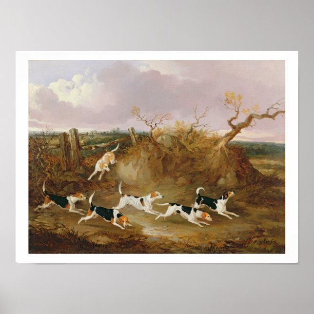 Póster Beagles in Full Cry, 1845 (aceite sobre lienzo) (Frente)