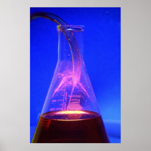 Póster Beaker y Tube