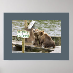 Póster Bear Cubs Keepsake Recuerdos aman el destino de de