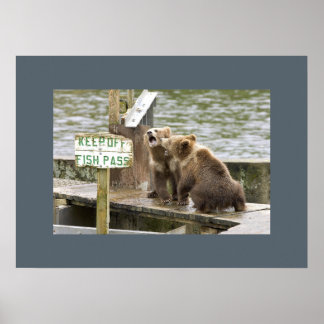 Póster Bear Cubs Keepsake Recuerdos aman el destino de de