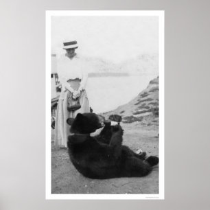 Póster Bear Drinking In Alaska 1910