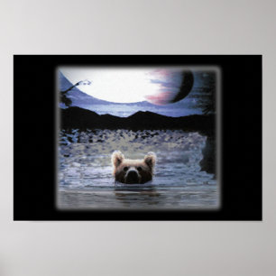 Póster Bear Planet