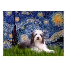 Beardie 2 - Noche estrellada