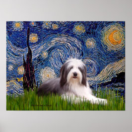 Póster Beardie 2 - Noche estrellada