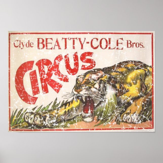 Póster Beatty Cole Circus - 1903 - afligido (Frente)