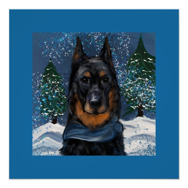 Póster Beauceron                       (Anverso)