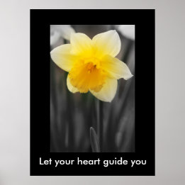 Póster Beautiful daffodil, Value Poster Paper (Matte)