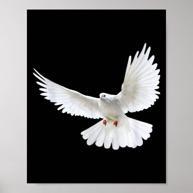 Póster Beautiful Flying Peaceful White Dove Photo Silhoue (Frente)
