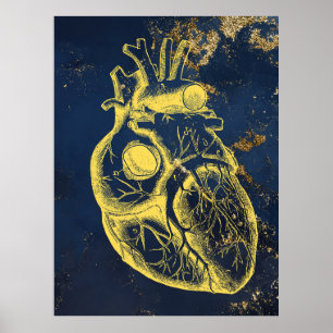 Póster Beautiful Heart anatomy poster