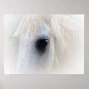 Póster Beautiful Horse Eye